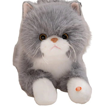 peluche chat