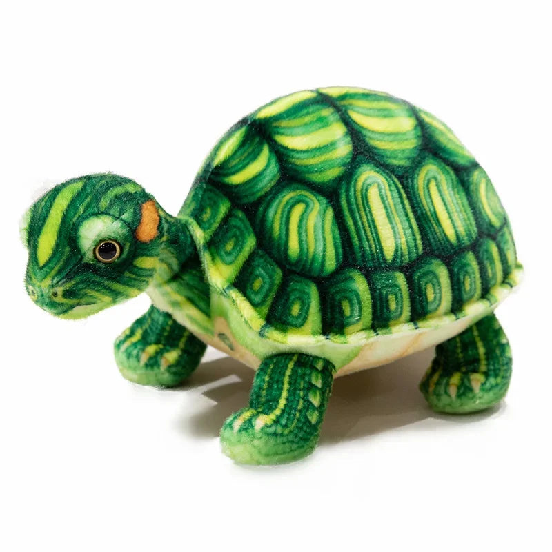 peluche tortue