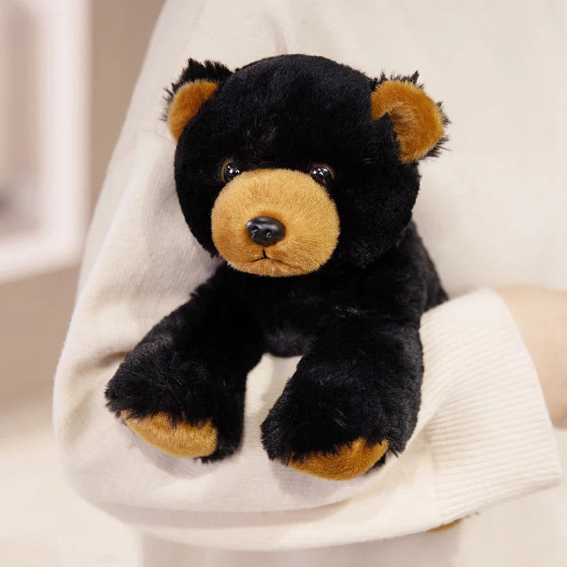 Peluche du monde