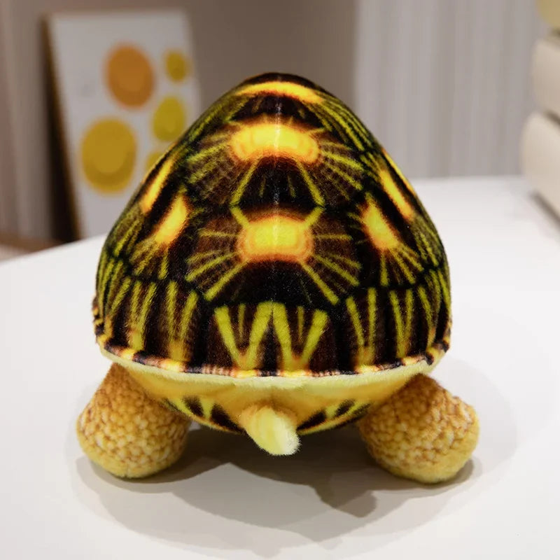 Peluche Tortue Sea
