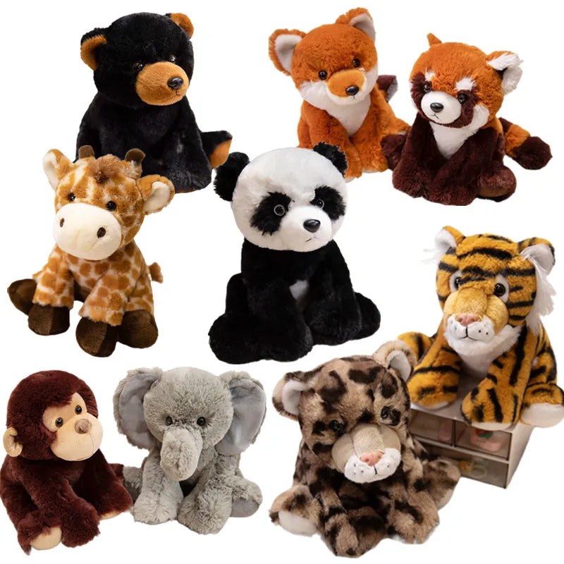Peluche du monde