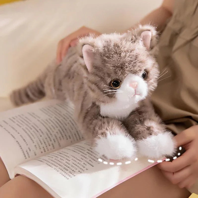 Peluche chat Réaliste