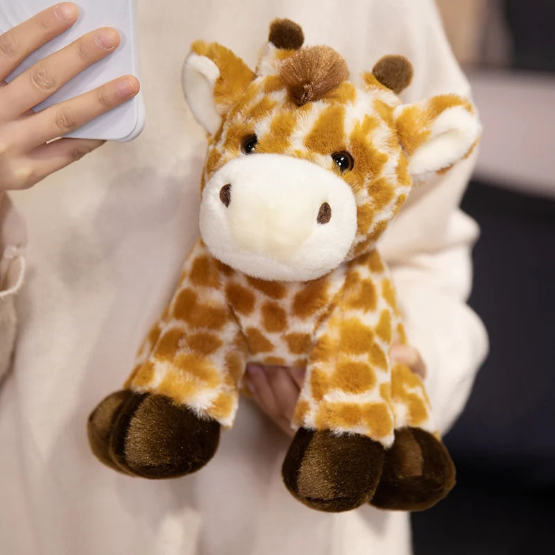 Peluche du monde