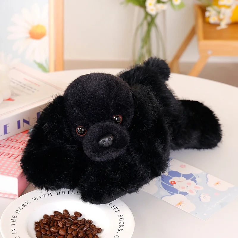 Peluche chien Caniche