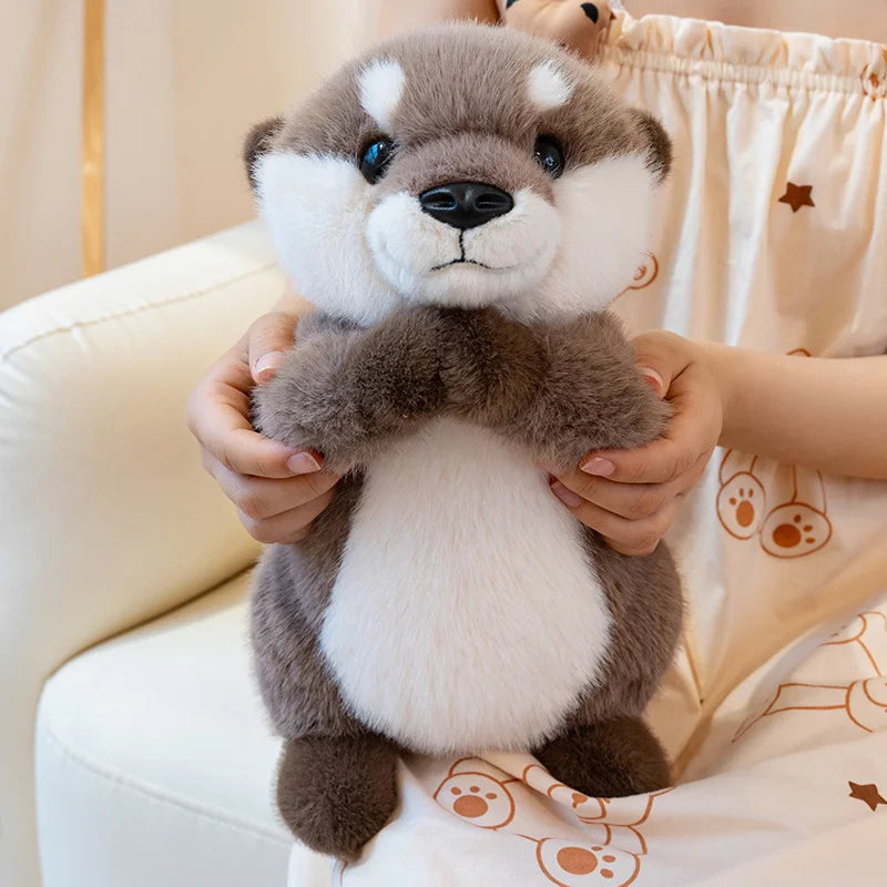 Peluche loutre mains magnétique