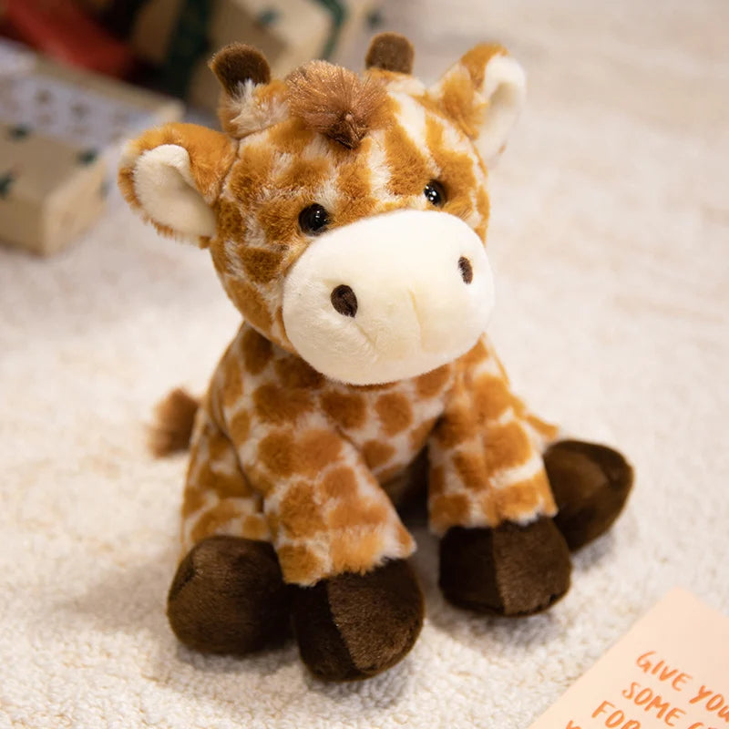 Peluche du monde