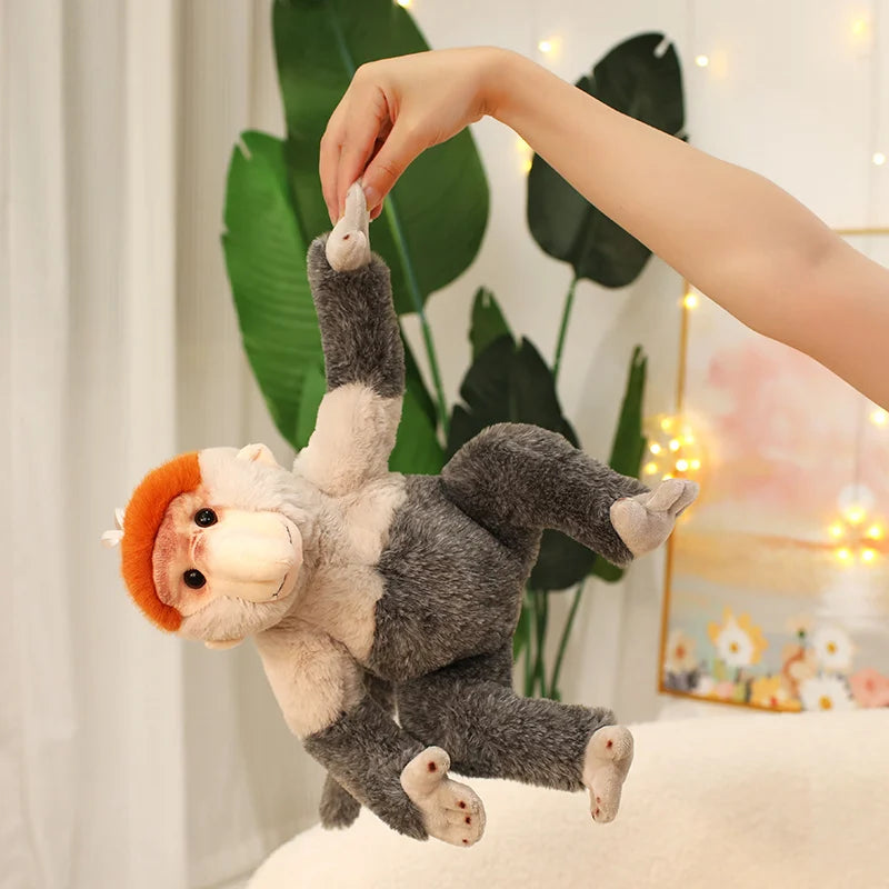 Peluche Singe Nasique