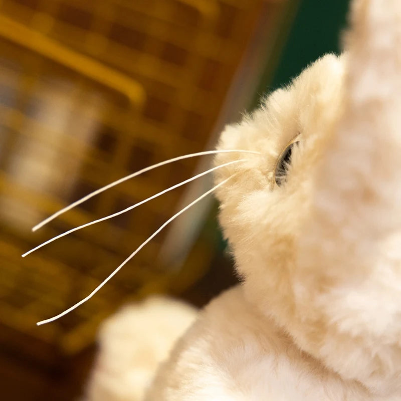 Peluche chat Devon Rex