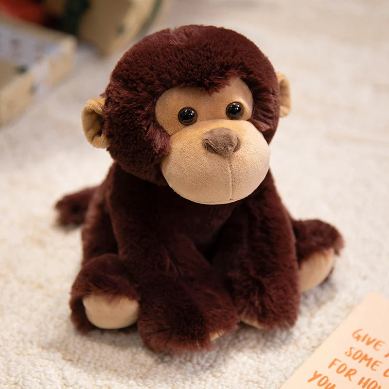 Peluche du monde
