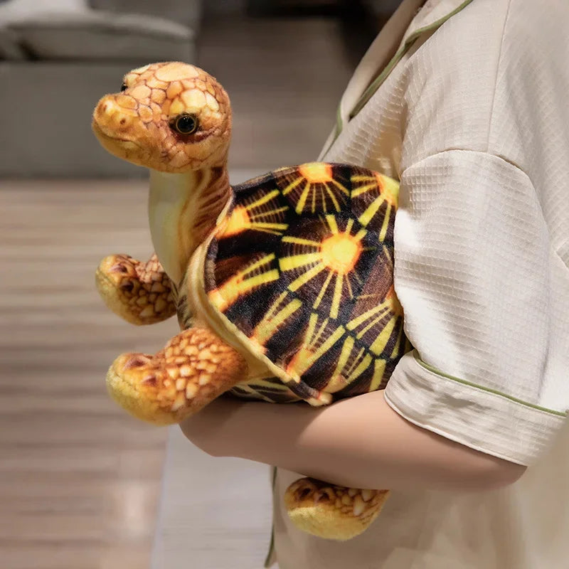 Peluche Tortue Sea