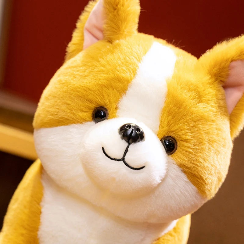 Peluche chien Shiba