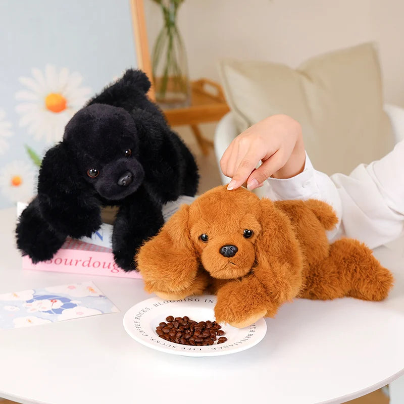 Peluche chien Caniche