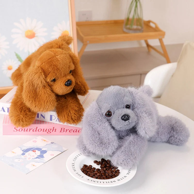 Peluche chien Caniche