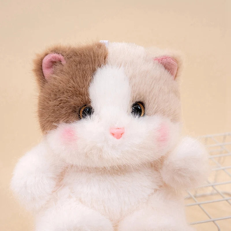 Peluche chat mini