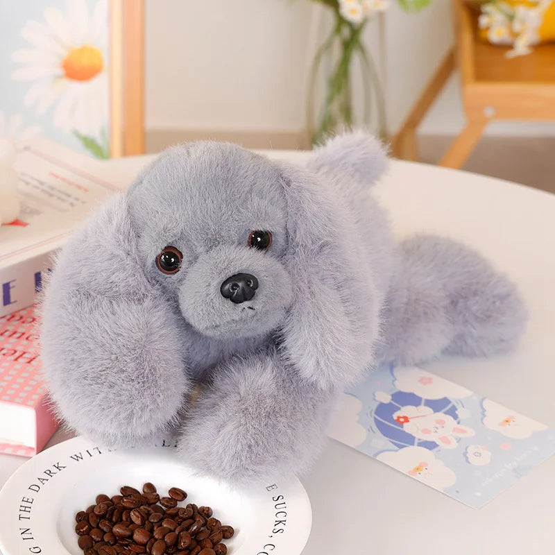 Peluche chien Caniche