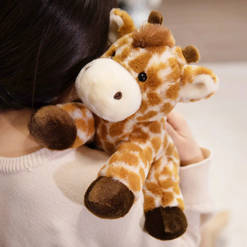 Peluche du monde