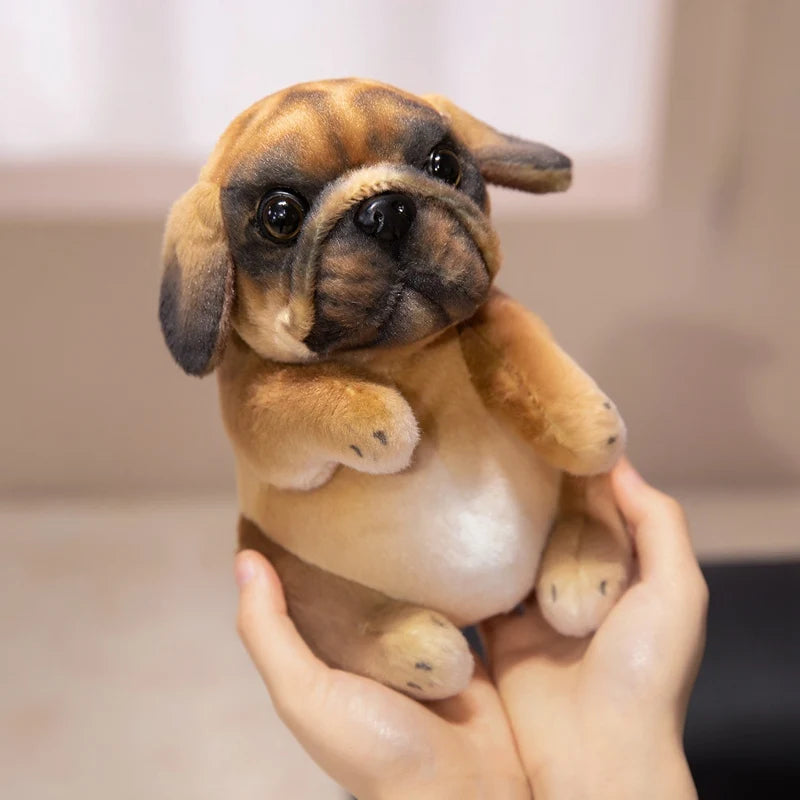 Peluche chien Bouledogue