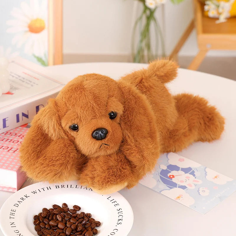 Peluche chien Caniche
