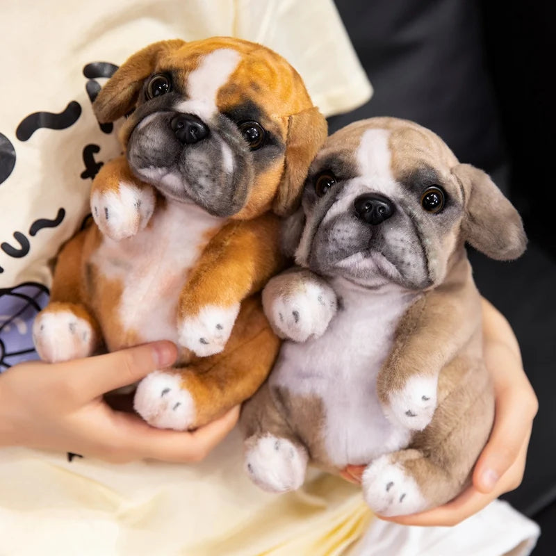 Peluche chien Bouledogue