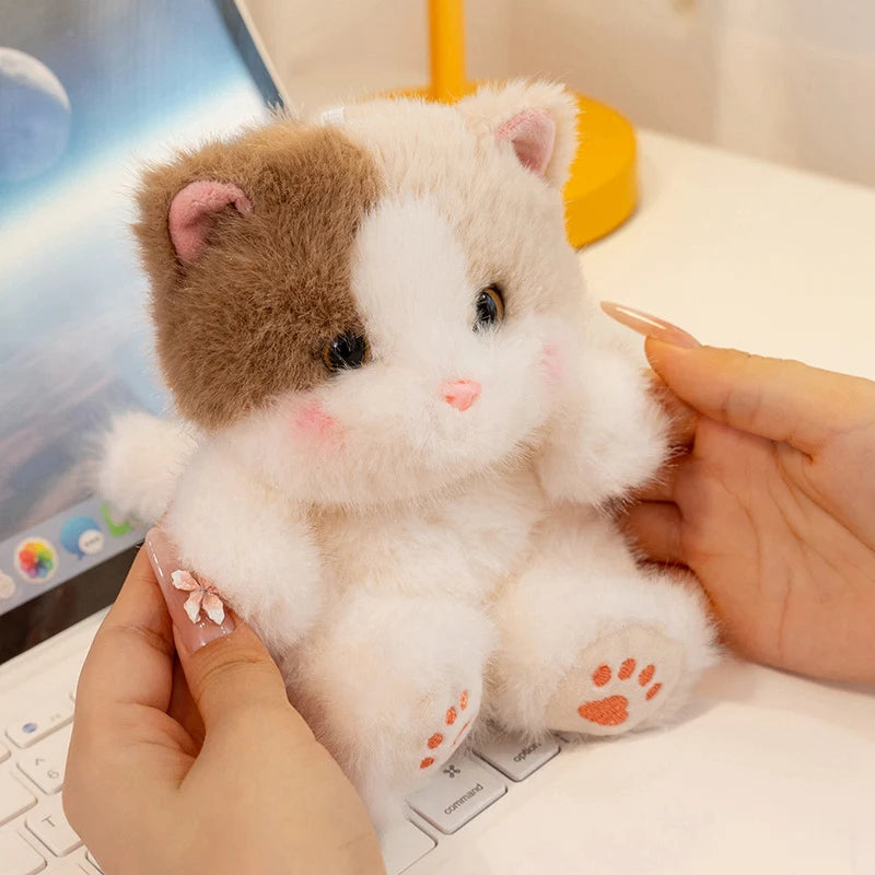 Peluche chat mini