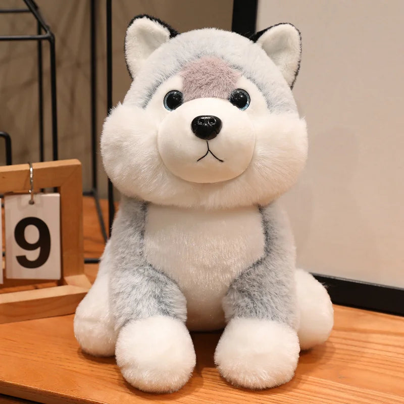 Peluche chien