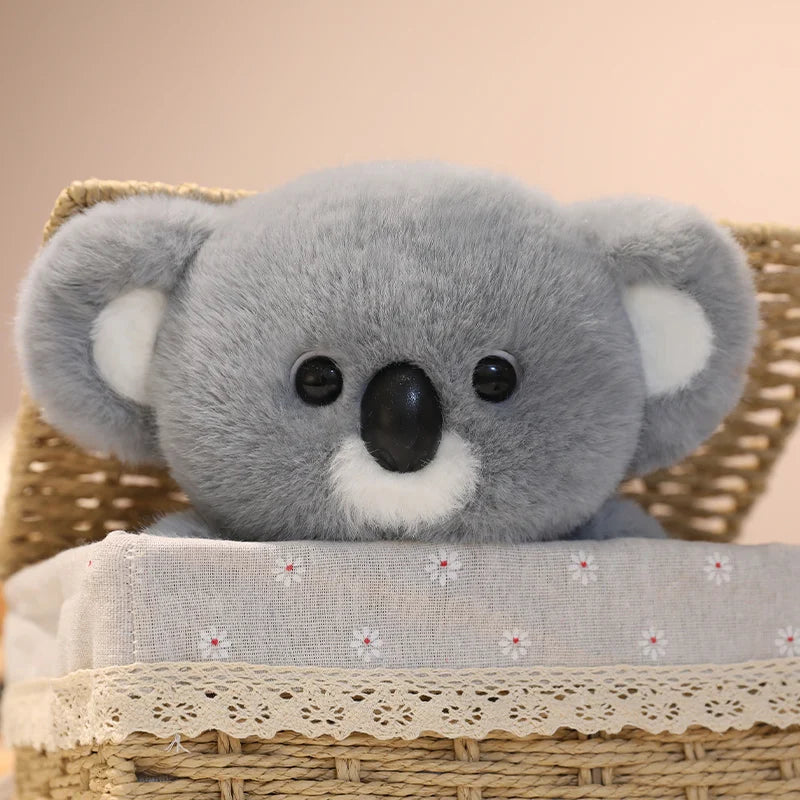 Peluche Koala