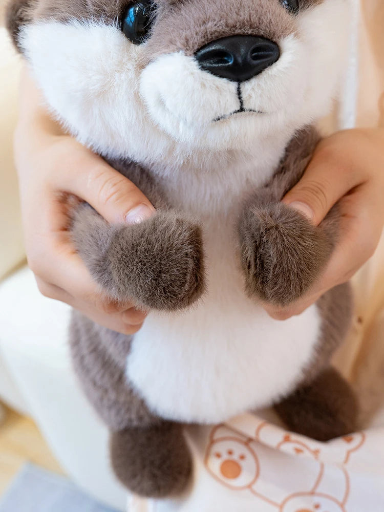 Peluche loutre mains magnétique