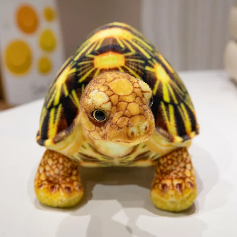 Peluche Tortue Sea
