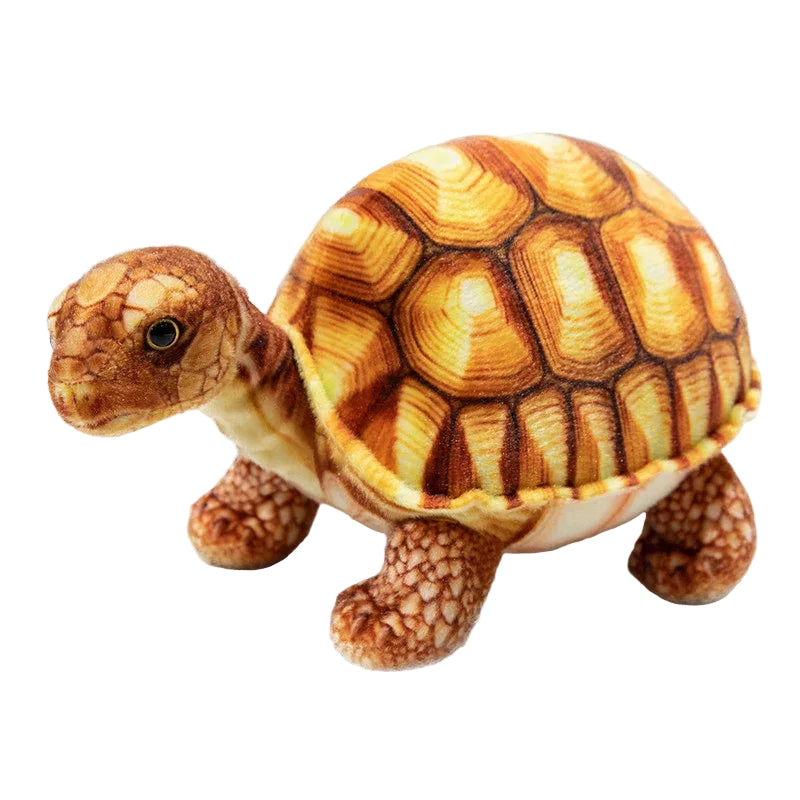 Peluche Tortue Sea